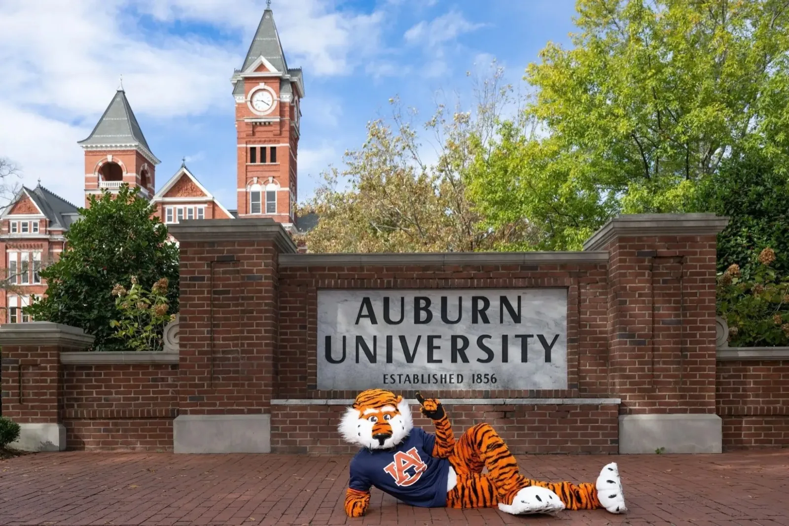 Auburn & Opelika